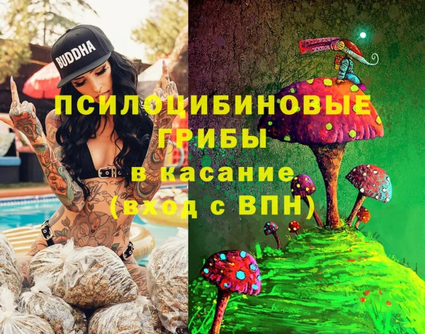 ГАЛЛЮЦИНОГЕННЫЕ ГРИБЫ Балахна